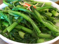 菜心-新庆嫂渔港