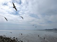 -深圳湾公园(南山区)
