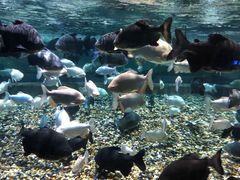 -成都浩海立方海洋公园