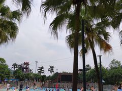 -重庆海昌加勒比海水世界