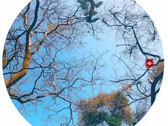 -桂林灵渠景区