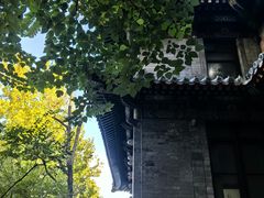 -北京协和医院(东单院区)
