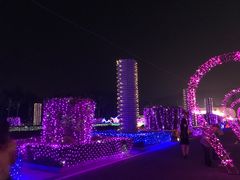 -东南花都花博园