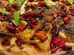 -老板恋上鱼(印象城店)