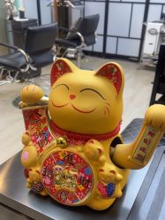 -showcase·形象沙龙