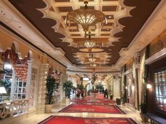 -拉斯维加斯永利酒店