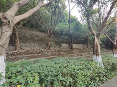 -中山公园(石岐街道)