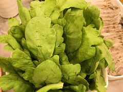 茼蒿-牛街·马辈儿涮肉(牛街二店)