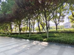 -后襄河公园
