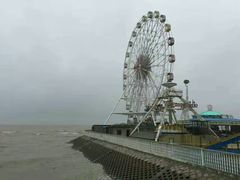 -上海棕榈滩海景酒店