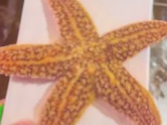 -奔海甄选·活鲜刺身铁板烧自助(太原里店)