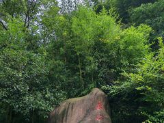 -长谷洞天