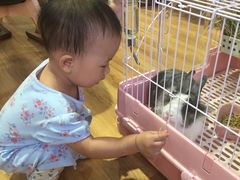 -藦茜花园宠物主题亲子互动体验馆(国顺东路店)