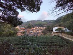 -杨家堂村