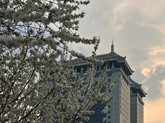 -南长河公园