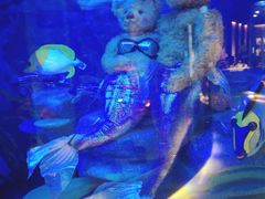 iphone_upload_pic-成都泰迪熊博物馆