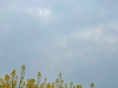 -中国天府农业博览园