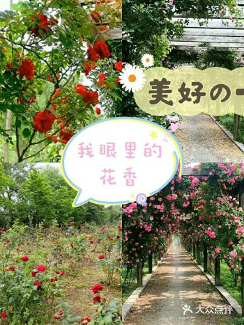 夏天的可爱从来不缺你 农场一游吧