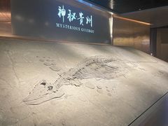 -贵州省地质博物馆