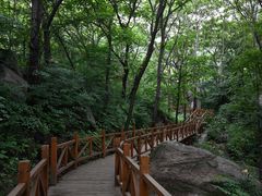 -大岭沟猕猴桃谷风景区