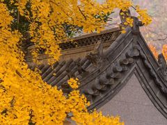 -青岛崂山太清宫