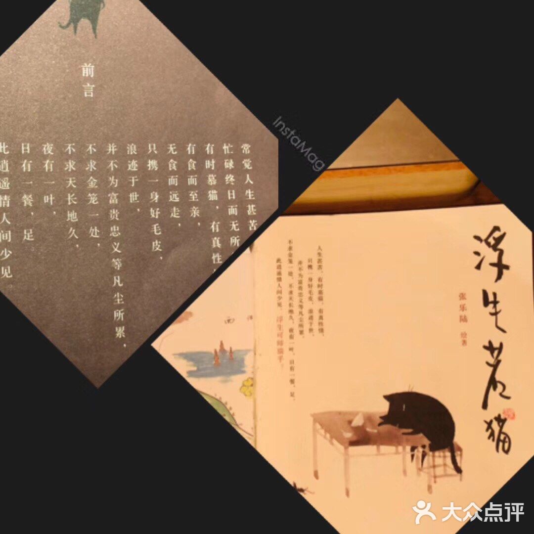 夜有一叶，日有一餐，足。此逍遥情人间少见。浮生可诗猫乎