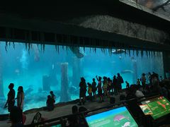 -河川生态园