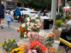 -不起眼麻辣烫凉皮店