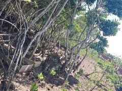 -东寨港红树林旅游区