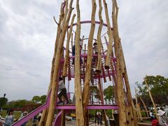 -春花秋色城市公园