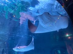 -沈阳海洋探索中心