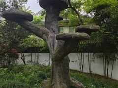 -汇龙潭