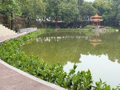 -柳州人田螺鸭脚煲(农院路1店)