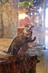 -Zoolung Zoolung动物主题公园(海信广场店)