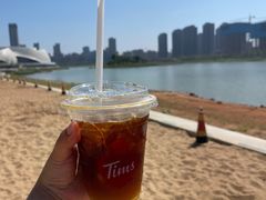 -金沙湖公园