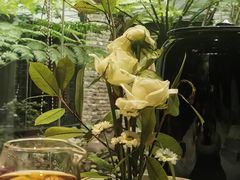 -闲亭(九眼桥店)