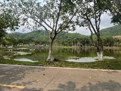 -北京师范大学(珠海校区)