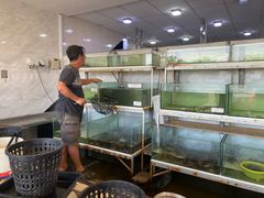 -ZF Seafood Restaurant 卓峰海鲜餐