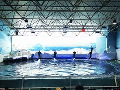 -秦皇岛乐岛海洋王国