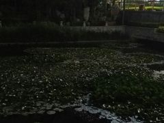 -丁家河公园