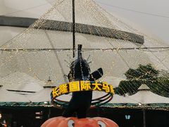 -广州长隆国际大马戏