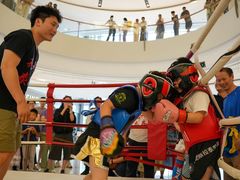 -花环泰拳·勒德斯拉泰拳馆(静安店)