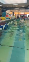 -海豚啵啵体智能游泳馆(惠山万达广场店)
