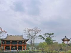 -顺峰山公园