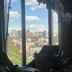 -茉莉智慧母婴护理中心(瑰丽店)