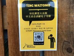 -怀托摩萤火虫洞