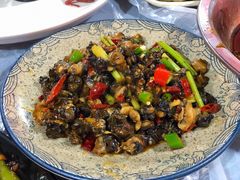 鲜椒螺丝肉-虎虎龙虾大排档(双井店)
