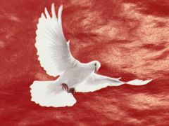 -全聚德烤鸭店(马家堡店)