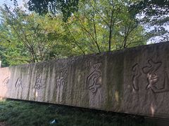 -黄桷坪涂鸦艺术街