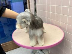 -FAELING PETS美天灵宠物(富力广场店)